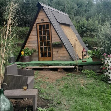 La Fatina Lodge Barga Buitenkant foto