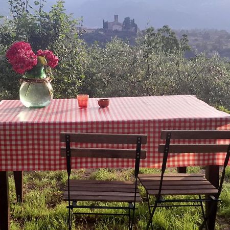 La Fatina Lodge Barga Buitenkant foto