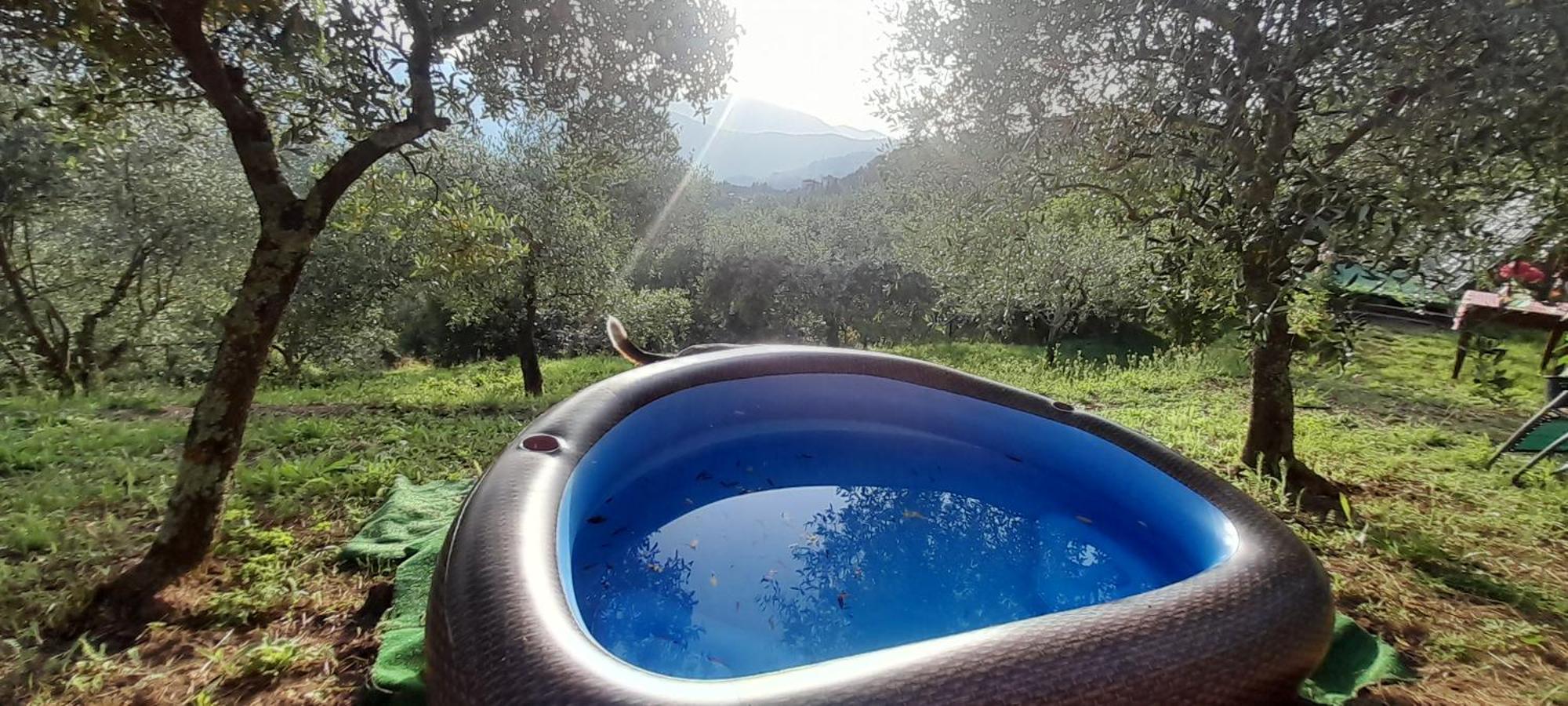 La Fatina Lodge Barga Buitenkant foto