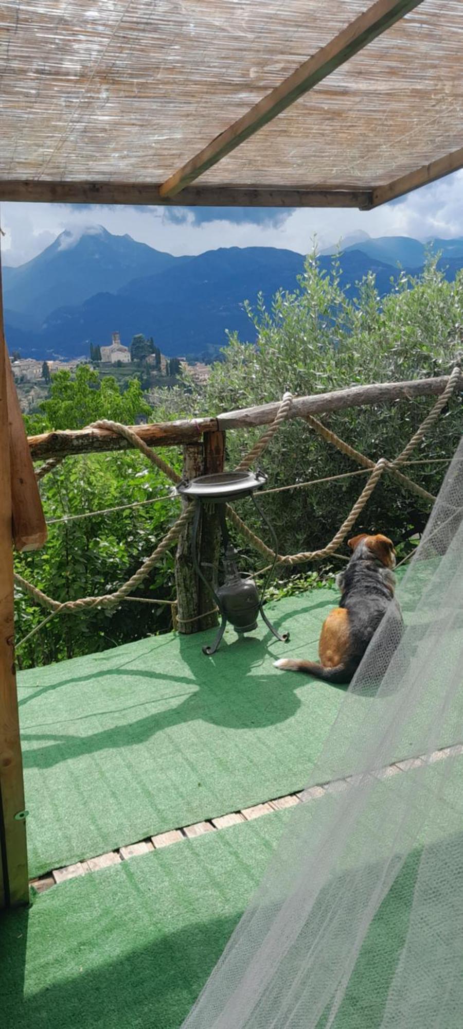 La Fatina Lodge Barga Buitenkant foto