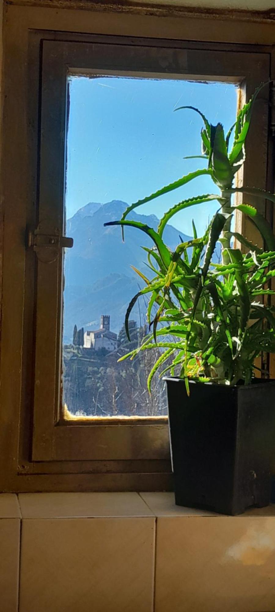 La Fatina Lodge Barga Buitenkant foto